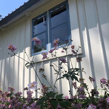 Seaside Cottage Haga Park Frobygarda Экстерьер фото