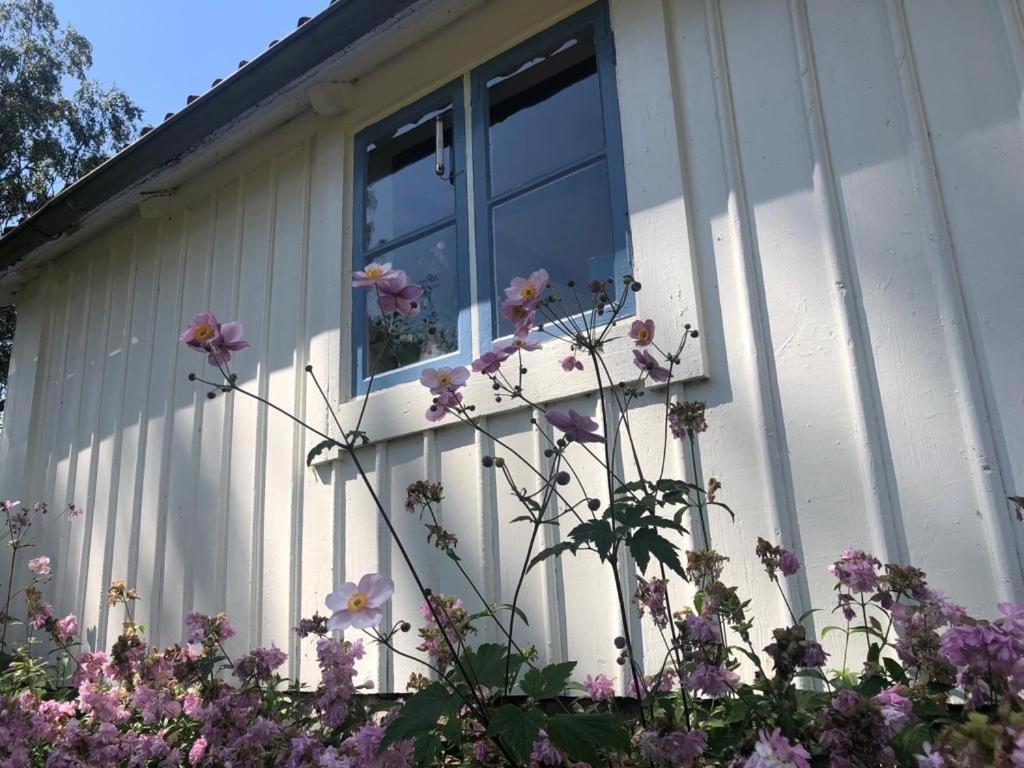 Seaside Cottage Haga Park Frobygarda Экстерьер фото